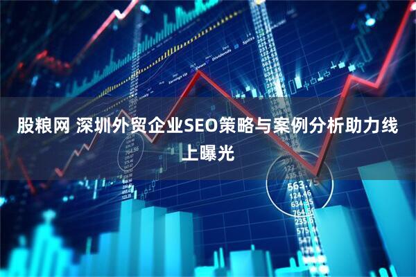 股粮网 深圳外贸企业SEO策略与案例分析助力线上曝光