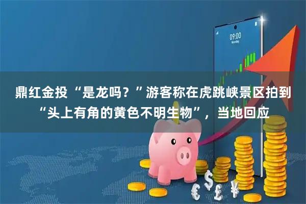 鼎红金投 “是龙吗？”游客称在虎跳峡景区拍到“头上有角的黄色不明生物”，当地回应