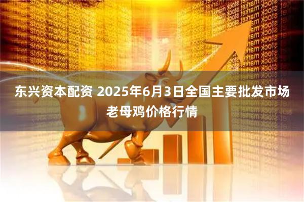 东兴资本配资 2025年6月3日全国主要批发市场老母鸡价格行情