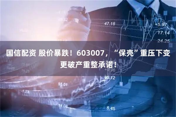 国信配资 股价暴跌！603007，“保壳”重压下变更破产重整承诺！